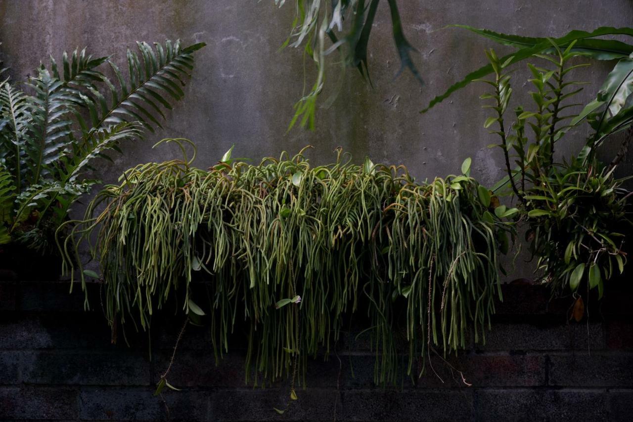 Lost And Find Homestay Guanshan Exterior foto